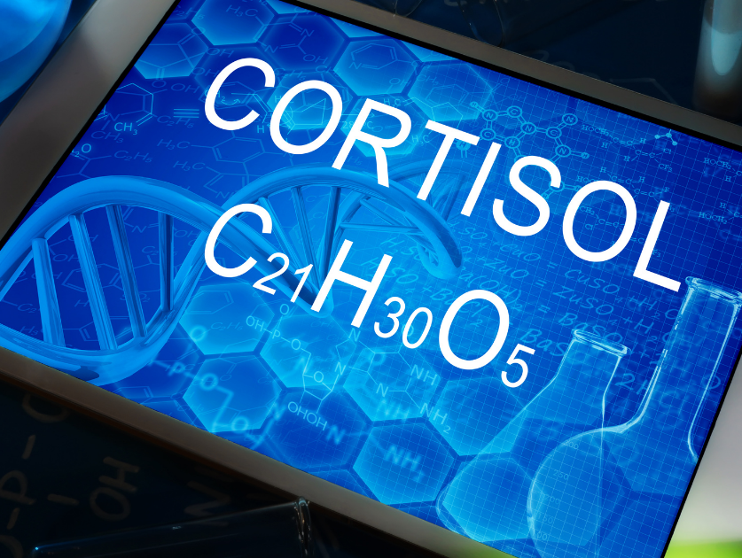 What Is Cortisol and Why Does It Matter?